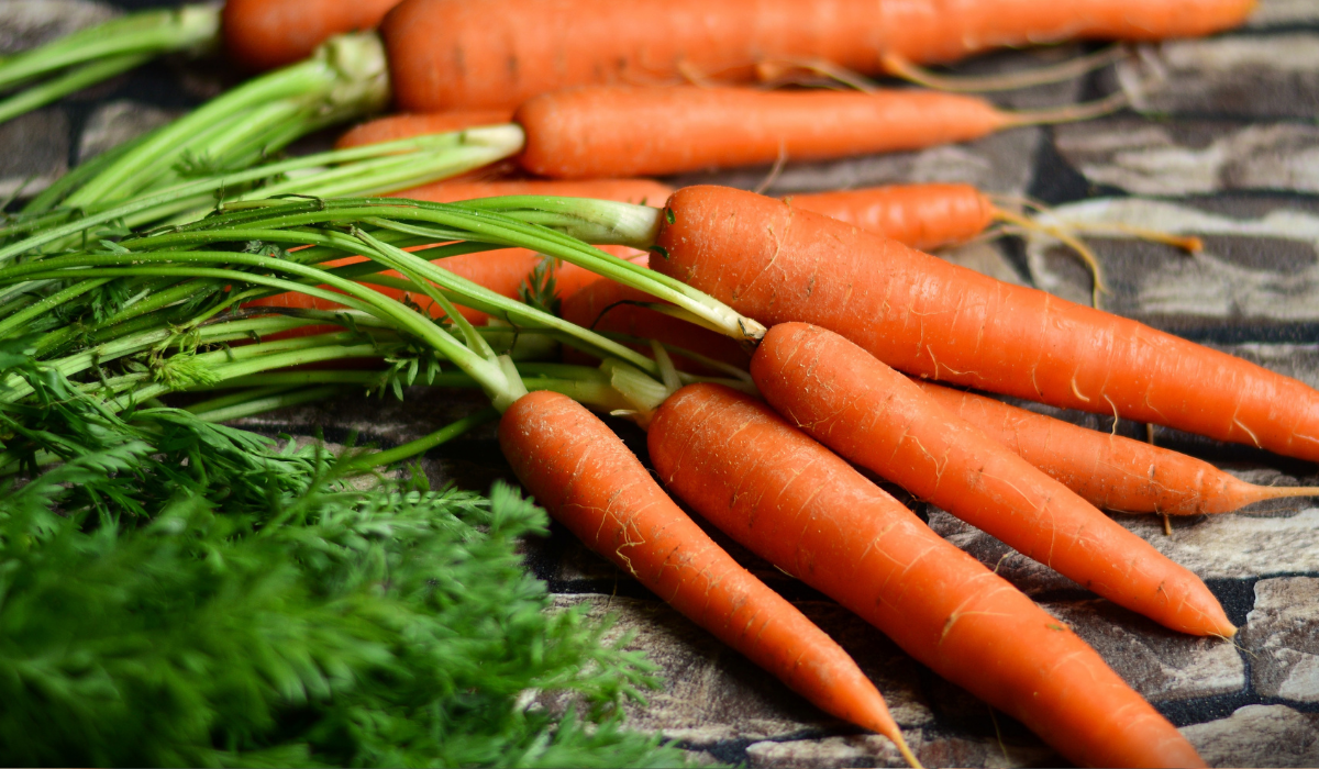 Veja como plantar cenouras em casa e economize nas compras do mês - Reprodução Pixabay