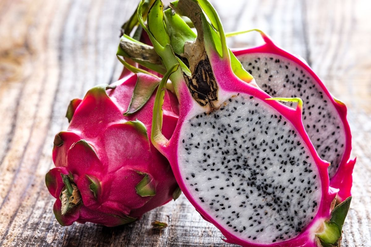 como plantar pitaya em casa - reprodução do canva