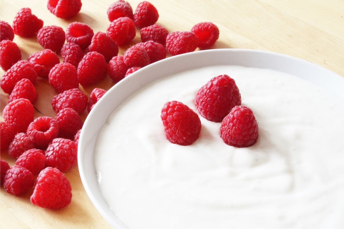 iogurte natural caseiro - reprodução do canva