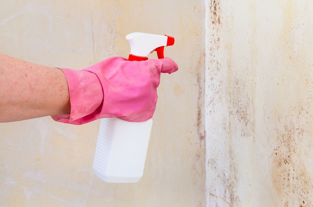 Como limpar parede suja (Foto: Canva)