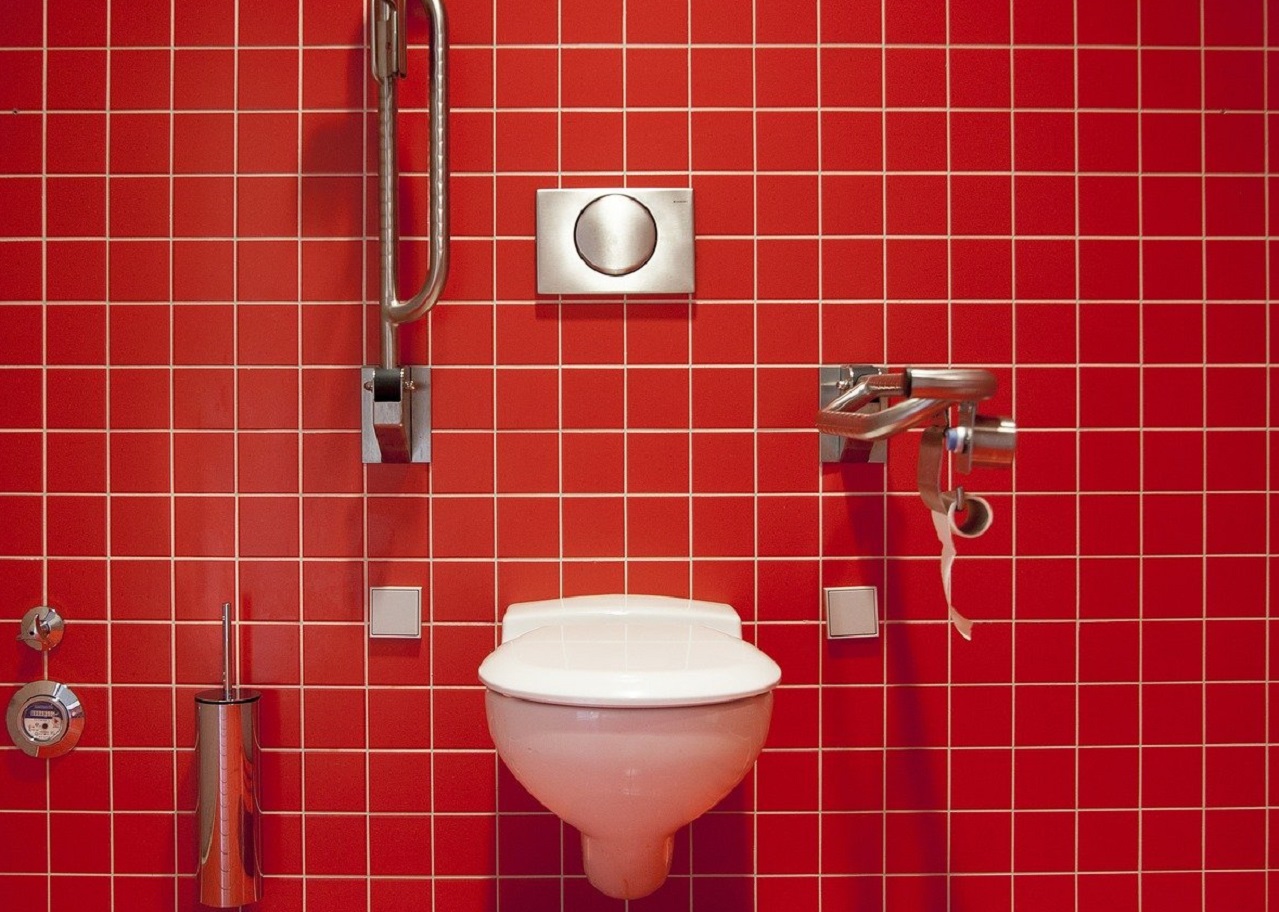 vaso sanitário - Pixabay