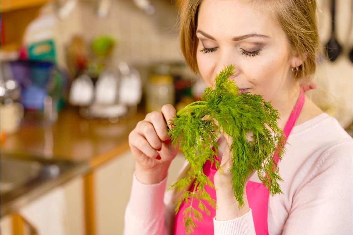 Aprenda a plantar cheiro verde em vaso cultive seu próprio tempero de forma fácil - canva (2)