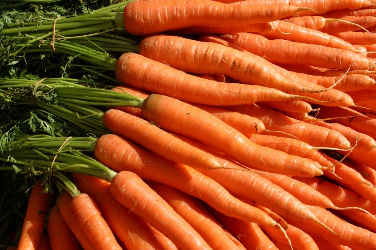 Sabia que a cenoura faz bem para o corpo Veja como fazer e confira essas dicas incríveis - canva (2)