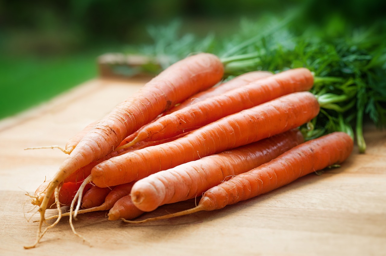 Veja como plantar cenouras em casa e economize nas compras do mês - Reprodução Pixabay