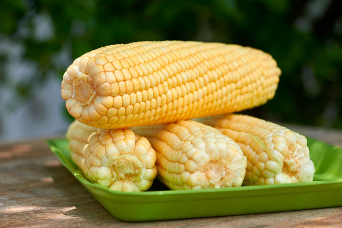 Bolo de milho verde: a melhor receita para qualquer ocasião, veja como fazer - Fonte: Canva