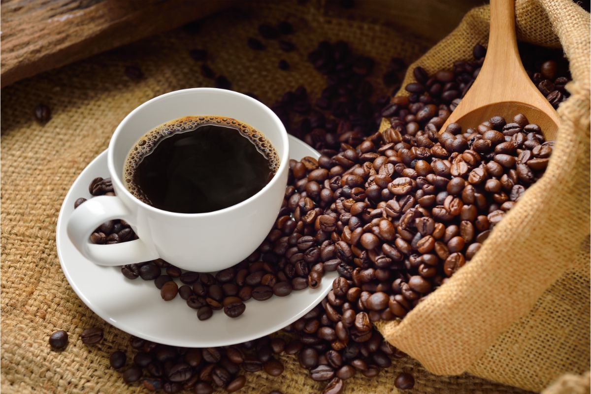 Café fresco por mais tempo: veja dicas para armazenar e manter o sabor - Fonte: Canva
