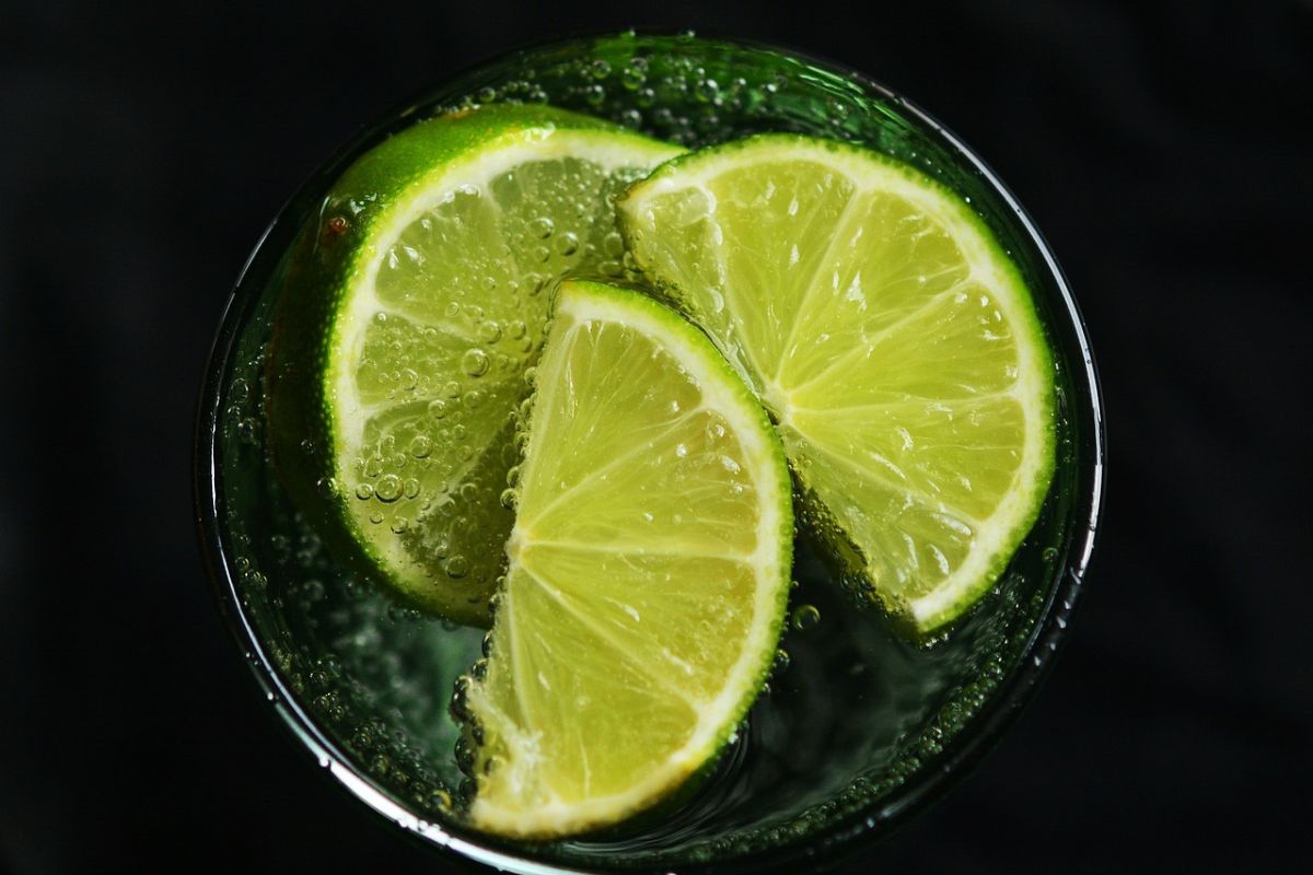 Água saborizada: confira alguns dicas para se hidratar com qualidade; rápido e fácil. Foto: Pixabay
