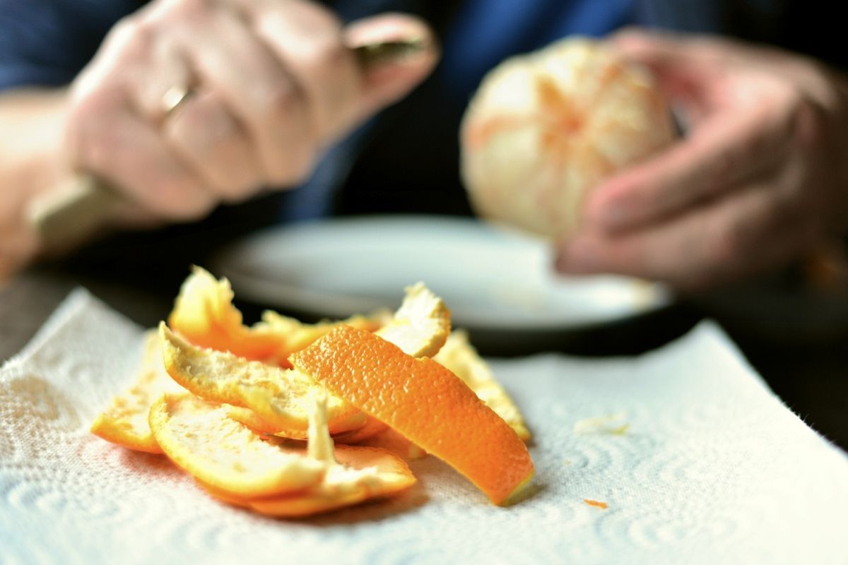 Casca de laranja: confira dicas incríveis de como reaproveitar e economizar. Foto: Pixabay