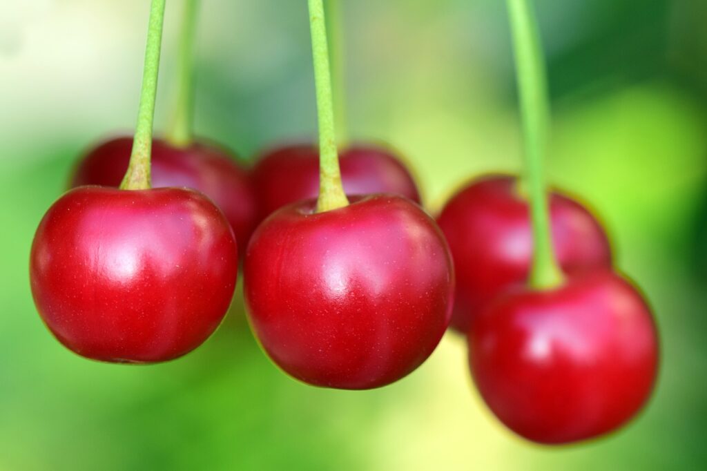 Frutas que ajudam a ganhar massa muscular; confira / Reprodução: Pixabay