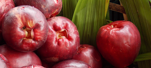 O jambo é umas das frutas mais saudáveis do mundo; descubra o porque / Reprodução Google