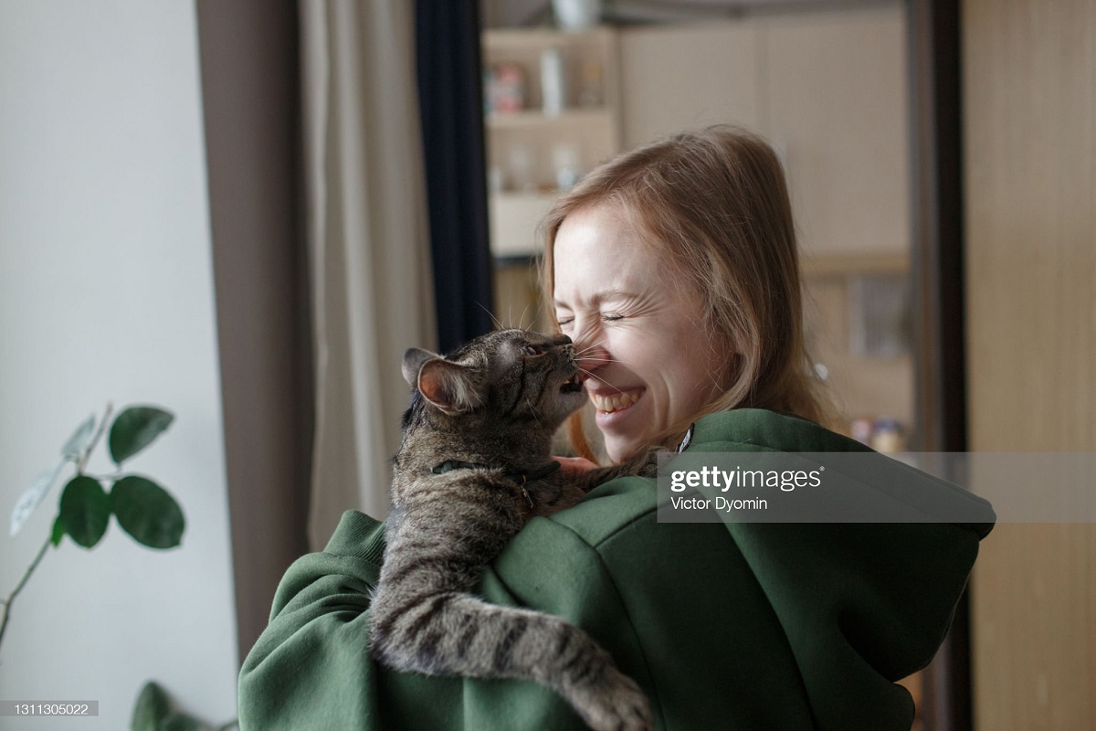 Curiosidades sobre os gatos (Foto: Victor Dyomin/Gettyimages)