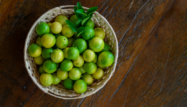 Veja como plantar limão galego - Fonte: Canva