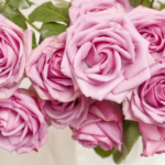 Como fazer perfume de rosas caseiro, um presente perfeito e cheiroso - Foto: Canva Pró