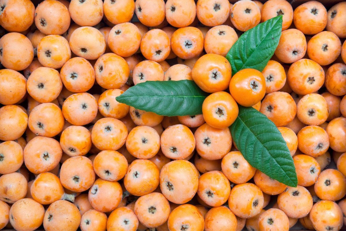 Benefícios da ameixa-amarela: conheça 3 motivos para incluir essa fruta na sua alimentação! - Fonte: Canva