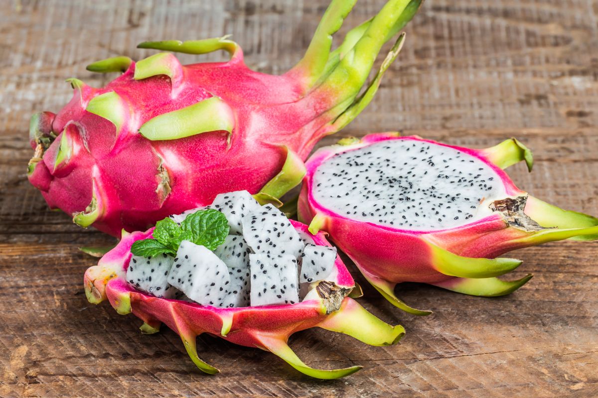 Jeito certo de plantar pitaya em casa: inicie o plantio hoje mesmo com essas dicas - Fonte: Freepik