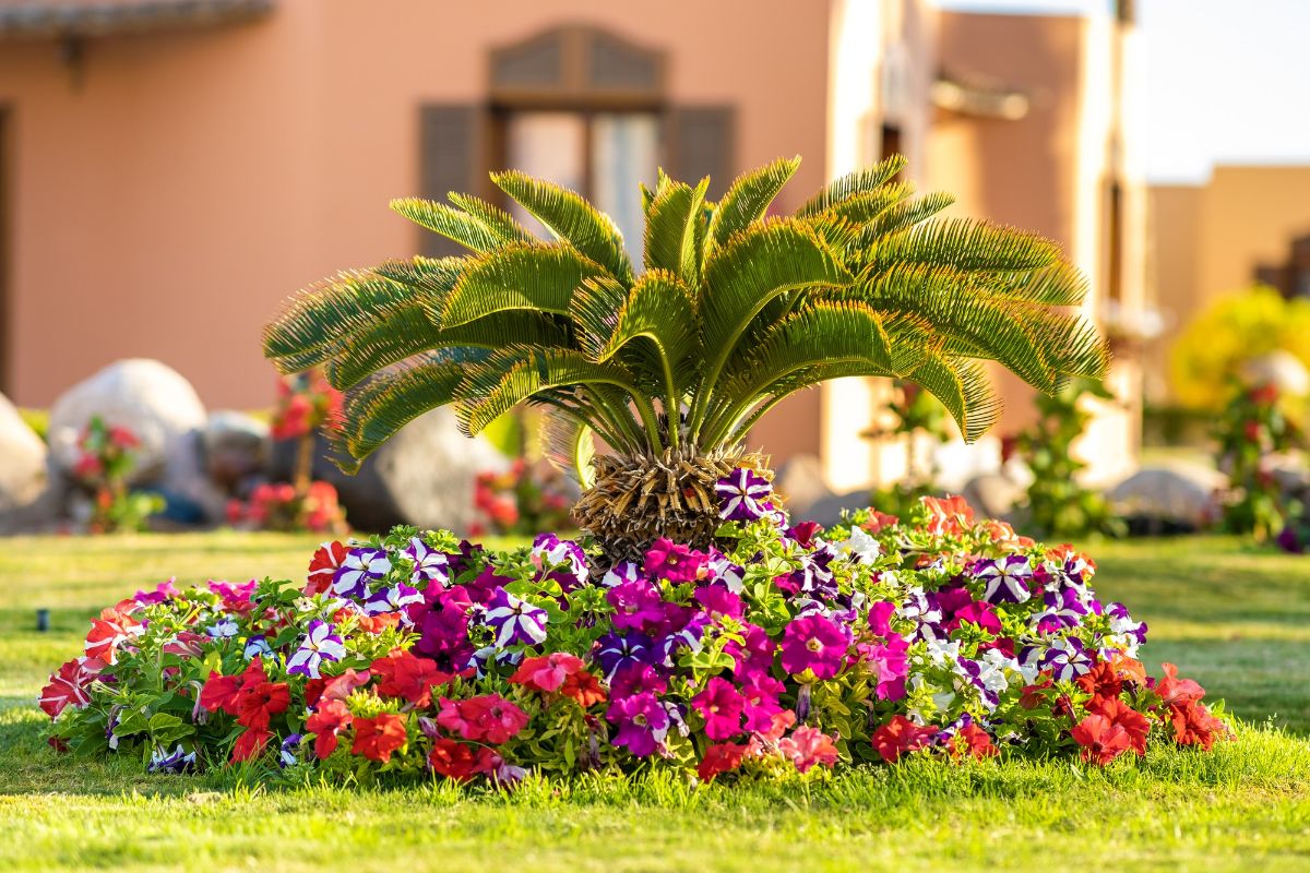 Melhores flores perfumadas para o jardim: veja as opções e escolha a ideal para você. Fonte: Freepik