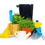 Ferramentas indispensáveis na jardinagem: você precisa desses utensílios! Fonte: Freepik.
