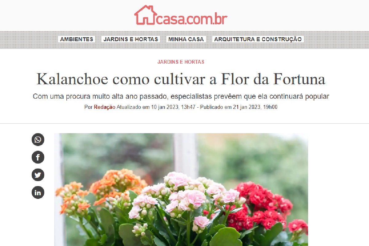 Reportagem sobre a Flor da Fortuna (Foto: Reprodução Portal Abril)