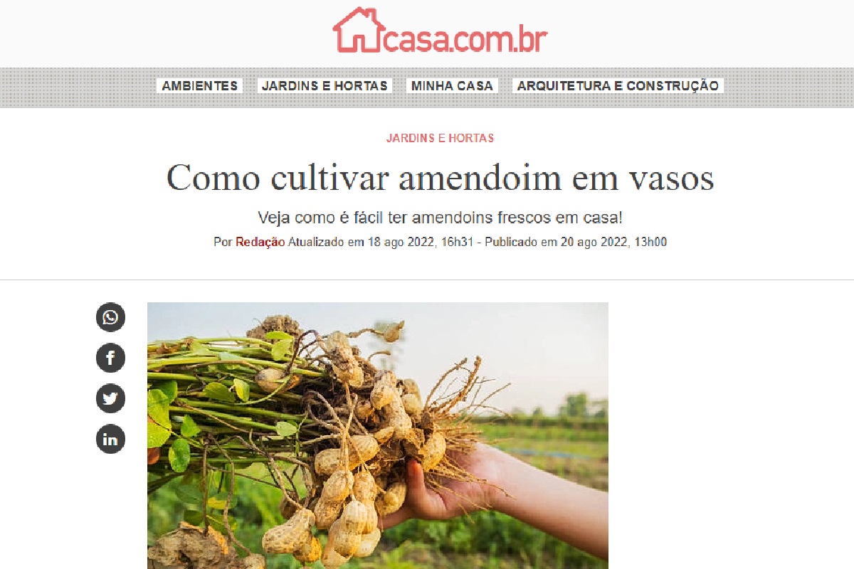 Reportagem sobre como cultivar amendoim em vasos (Foto: Reprodução Portal Abril)