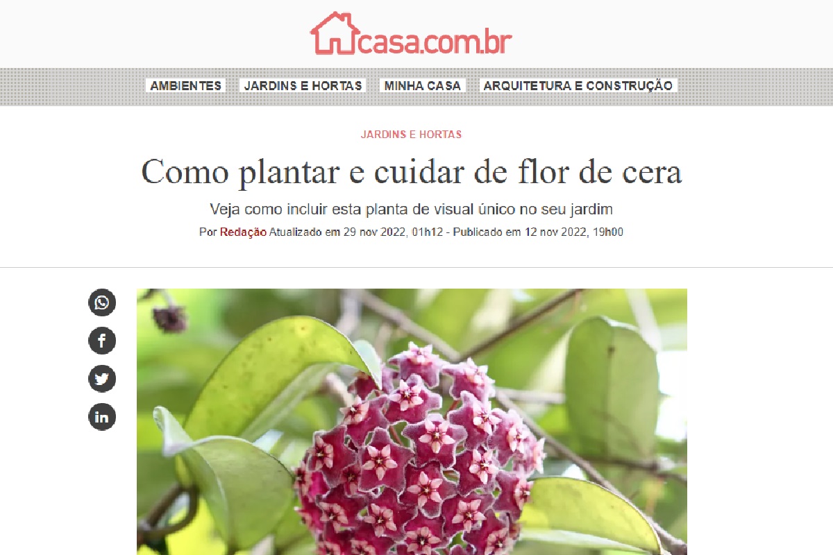 Reportagem sobre flor-de-cera (Foto: Reprodução Portal Abril)