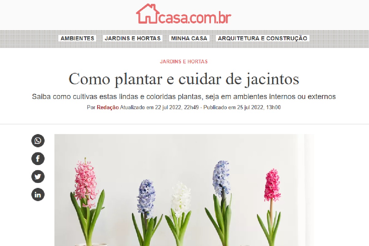 Reportagem sobre jacintos (Foto: Reprodução Portal Abril)
