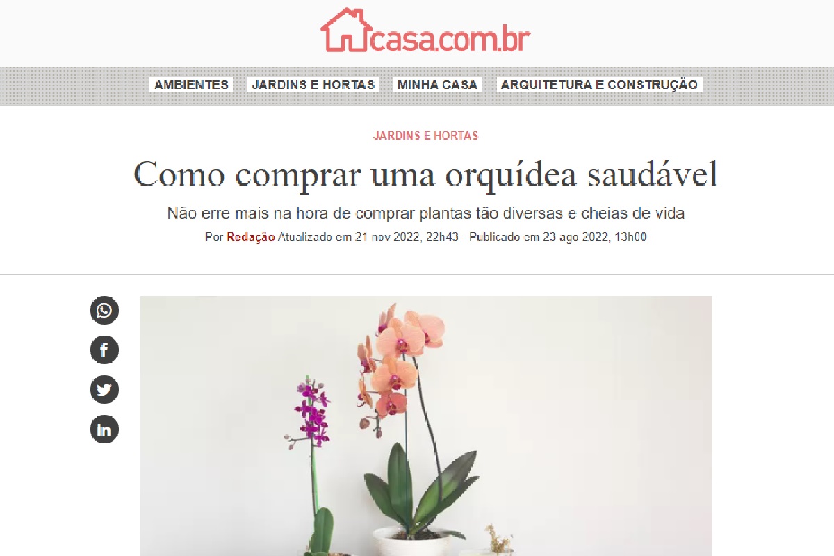 Reportagem sobre orquídea (Foto: Reprodução Portal Abril)