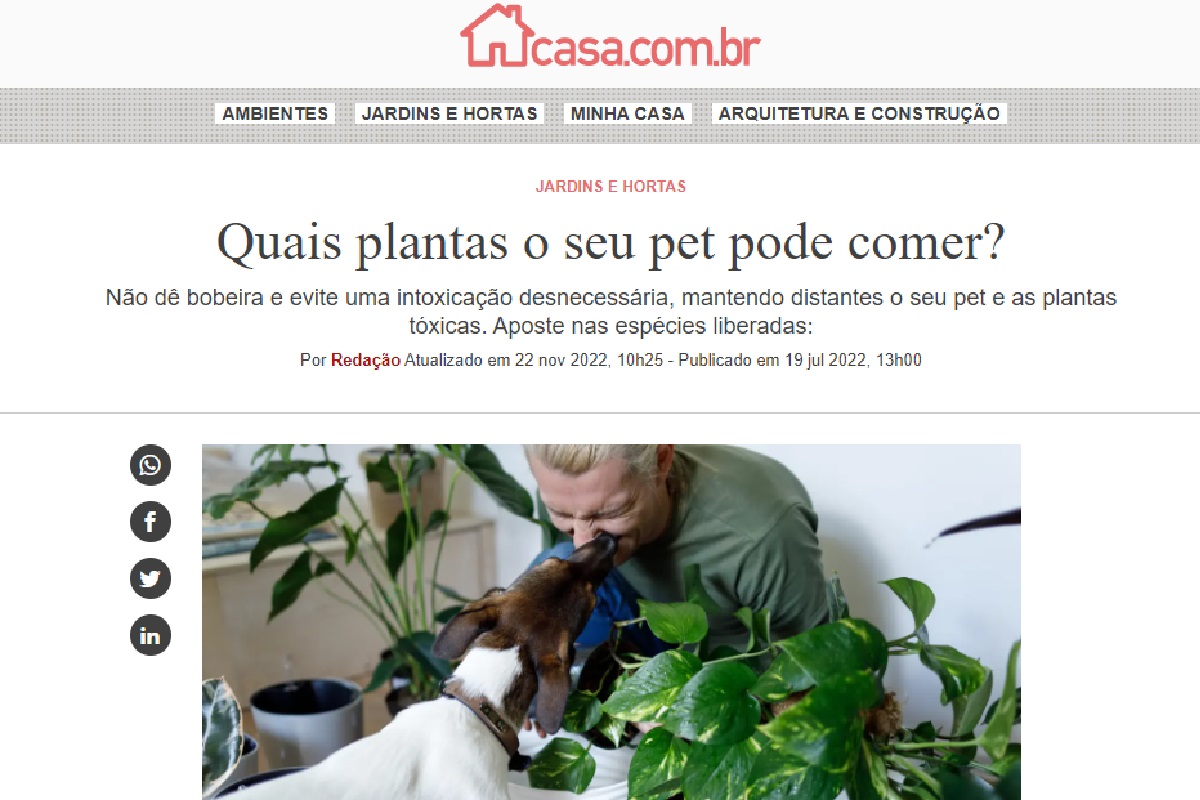 Reportagem sobre pets e plantas (Foto: Reprodução Portal Abril)