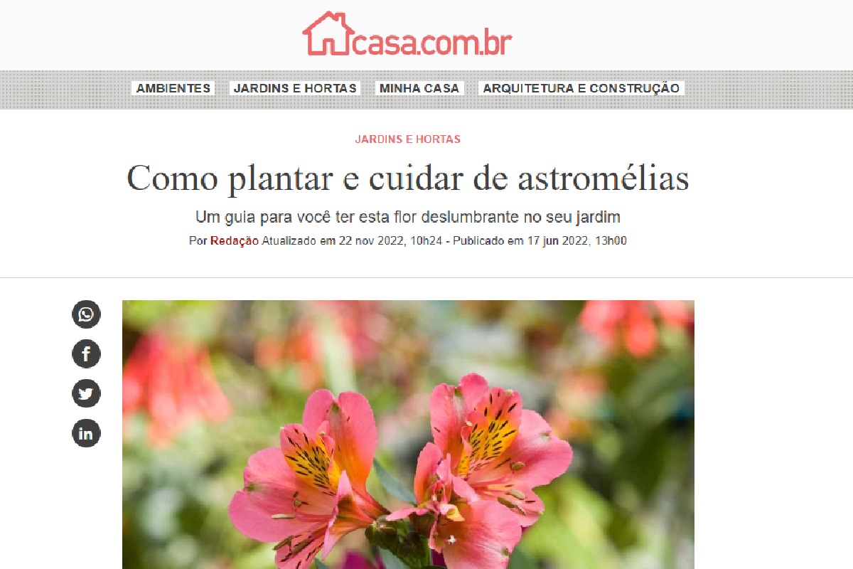 Reportagem sobre Astromélias (Foto: Reprodução Portal Abril)
