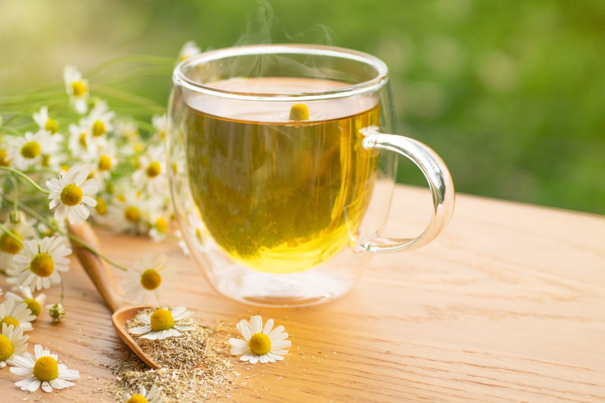 Chá de camomila: saiba como as flores dessa espécie ajudam a sua saúde - Imagem: Canva