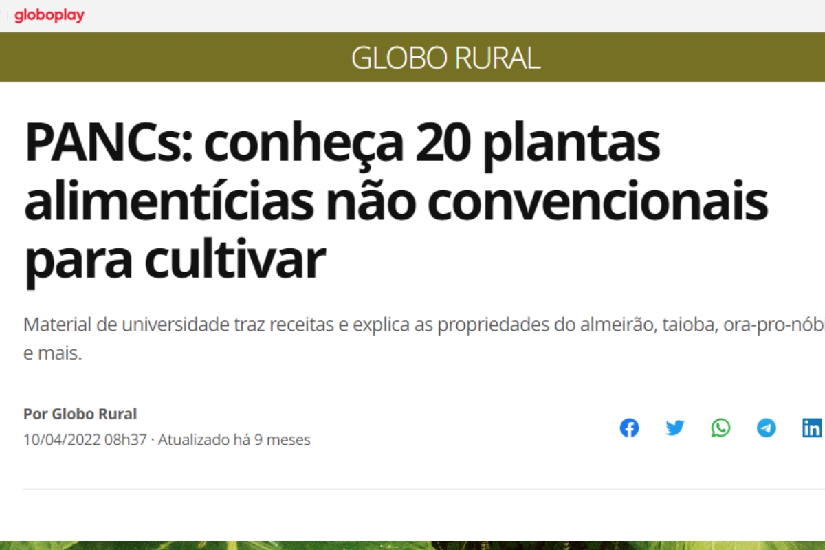 Imagem Globo Rural 