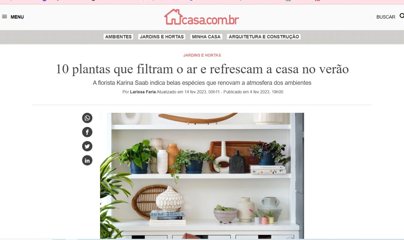 Plantas que filtram ar - Casa Abril - Print do site