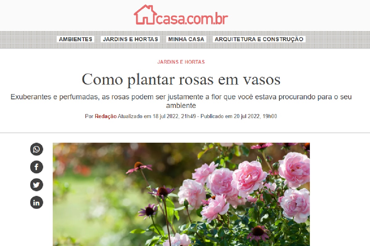 Postagem sobre rosas (Foto: Reprodução Portal Abril)