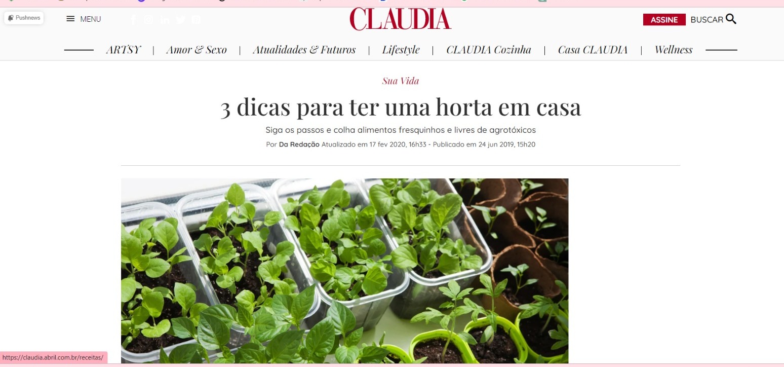 Print site Cláudia - Horta Caseira