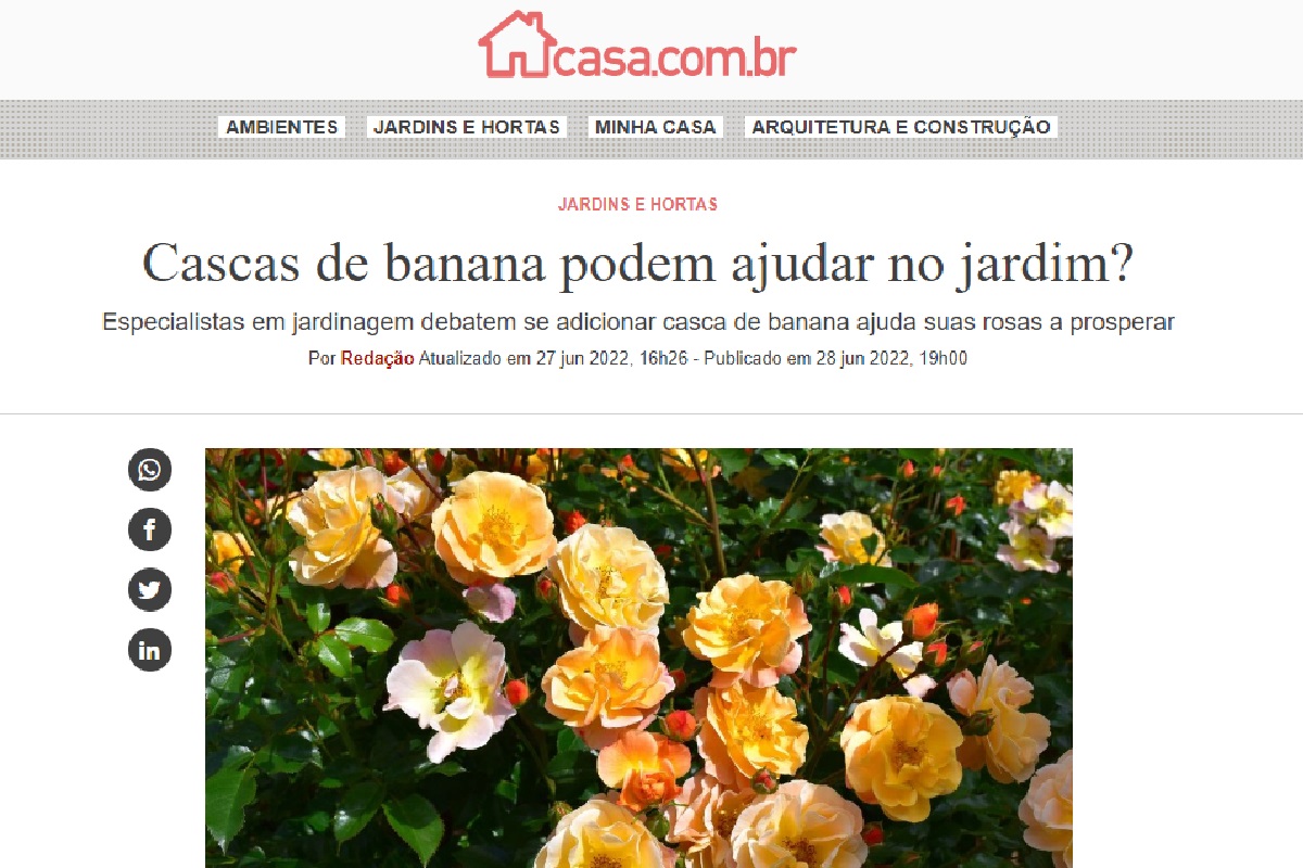 Reportagem sobre cascas de banana (Foto: Reprodução Portal Abril)