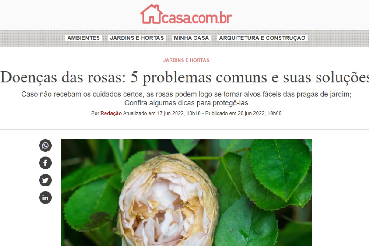 Reportagem sobre doenças das rosas (Foto: Reprodução Portal Abril)