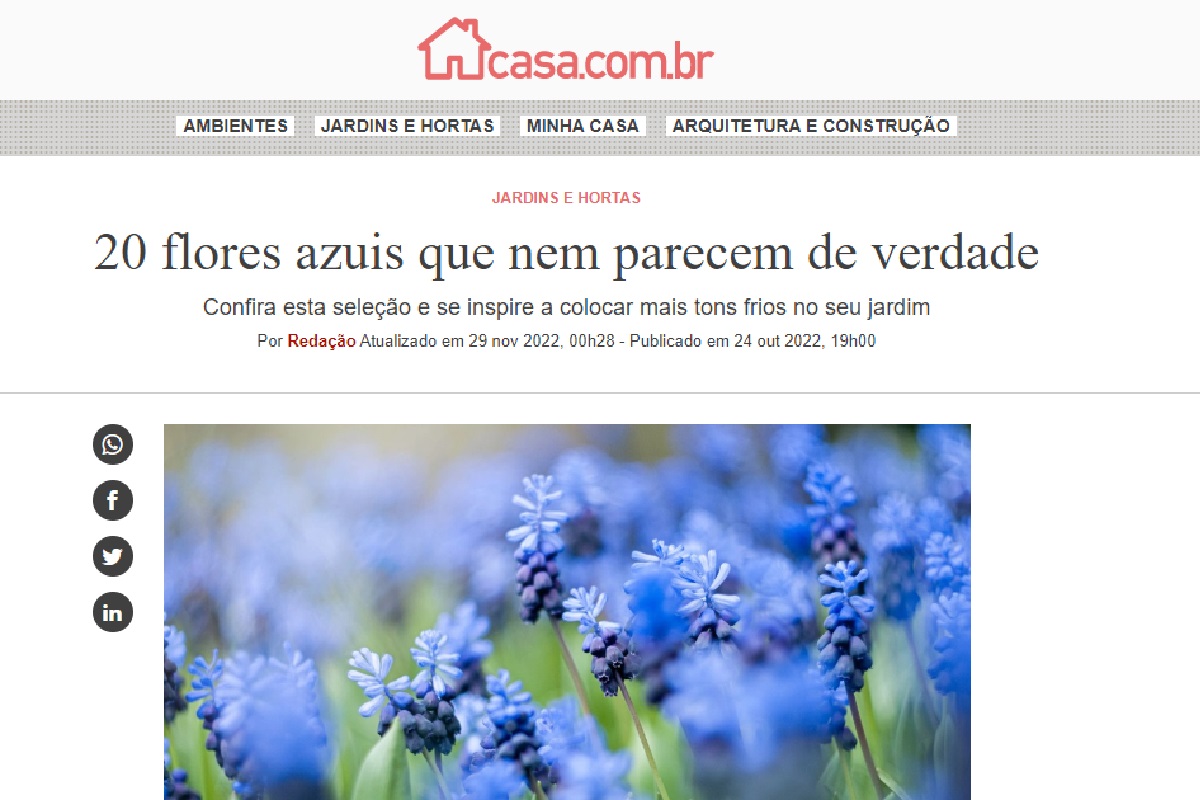 Reportagem sobre flores azuis (Foto: Reprodução Portal Abril)