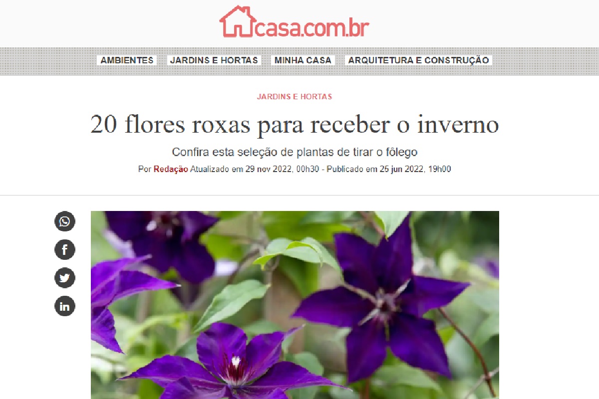 Reportagem sobre flores roxas (Foto: Reprodução Portal Abril)