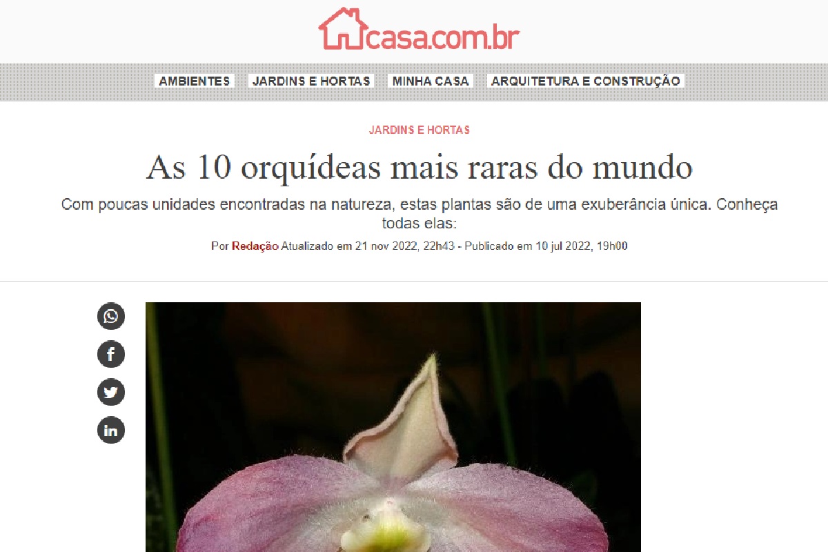Reportagem sobre orquídeas (Foto: Reprodução Portal Abril)