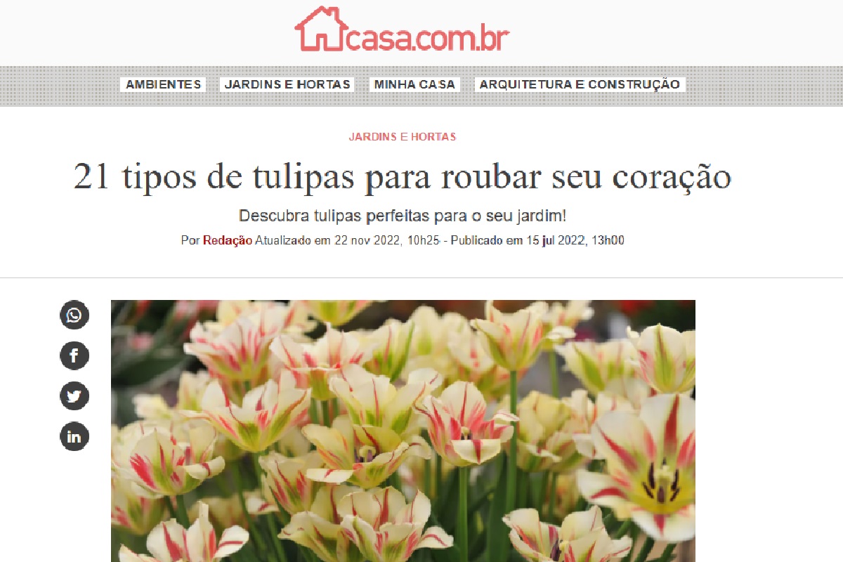 Reportagem sobre tulipas (Foto: Reprodução Portal Abril)