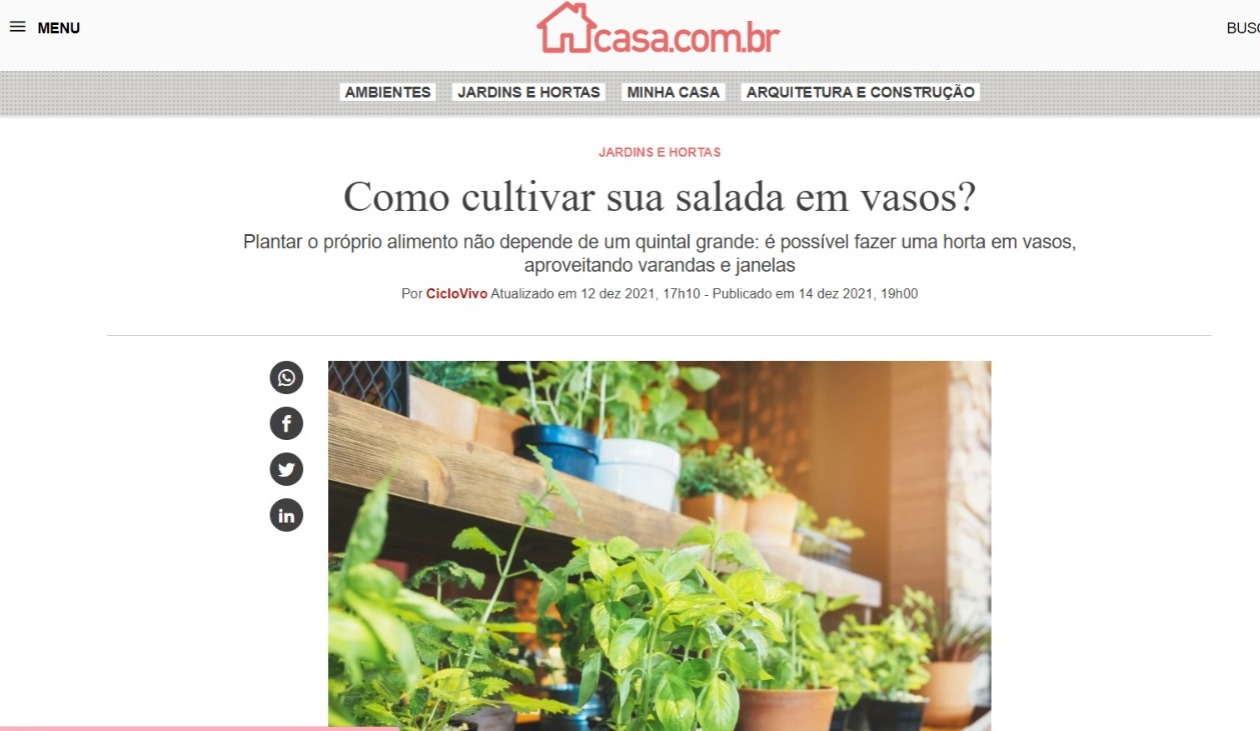 Saladas em vasos - Casa Abril - print do site