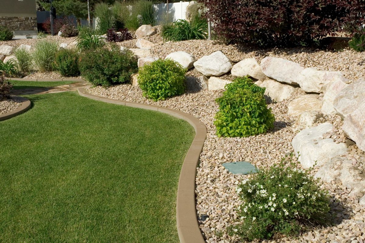 4 tipos de paisagismo fáceis de incluir no quintal; veja dicas de plantas para esse espaço - Canva